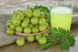 12-health-benefits-of-amla-juice_-_Sri-Sri-Tattva