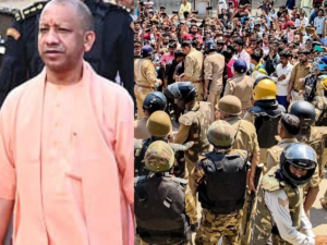 Yogi_Noida_1776081564336_1776081583025