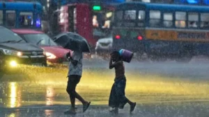 rainfall-1782697954