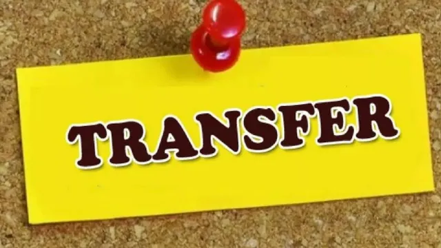 transfer-1782320366279_v