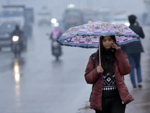 UP_Rain_1769562503059_1769562503