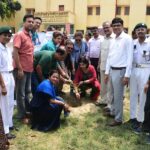 BBAU Organises Tree Plantation Drive: Teachers, Students and Rotary Club Members Plant Saplings