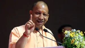 yogi-(14)-1783083162836_v