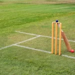 6ae09435d3118-cricket-bat--ball